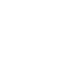 CTN Grundreinigung Berlin
